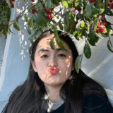 八木莉可子の実家は滋賀県守山市出身で家族構成や上京までの道のりも紹介