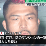 Z李の顔を巡る炎上や複数人説の根拠を詳しく整理する記事