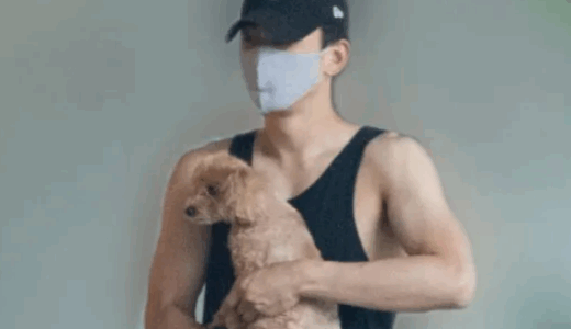 町田啓太の前妻と検索される理由と玄理との結婚の真相を詳しく紹介